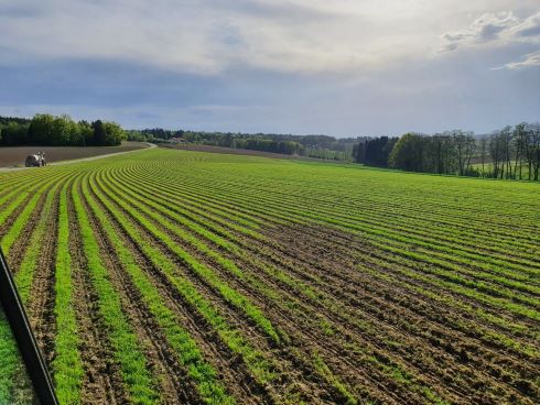 5_Strip-Till2