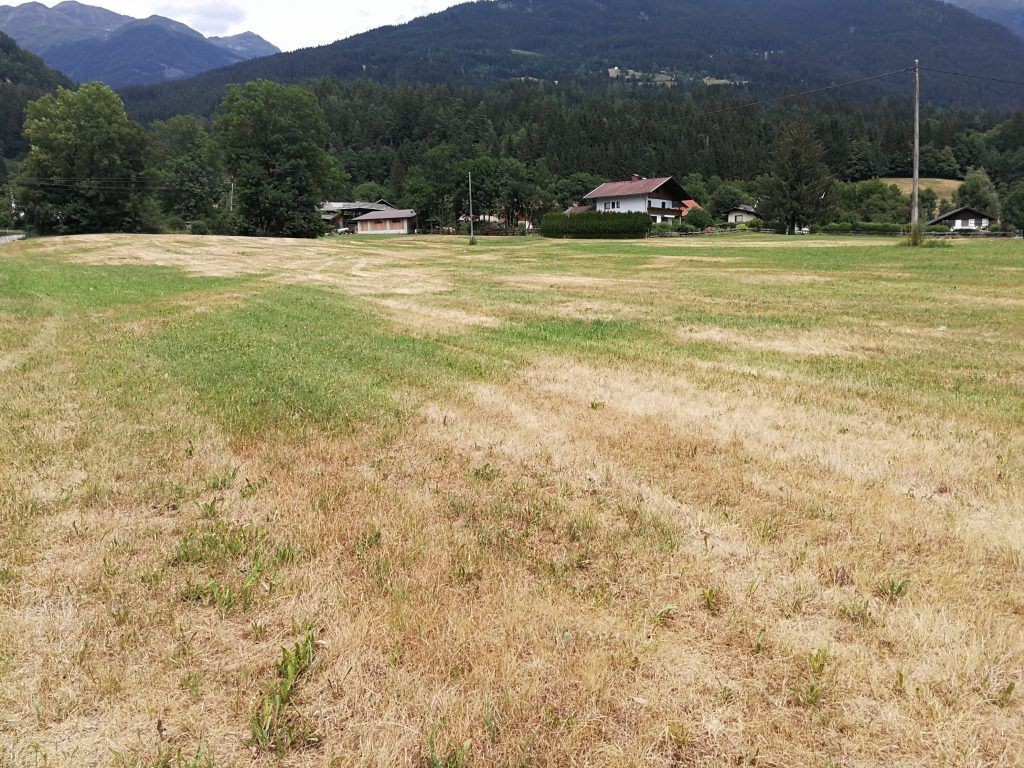 Dürreschäden im Grünland